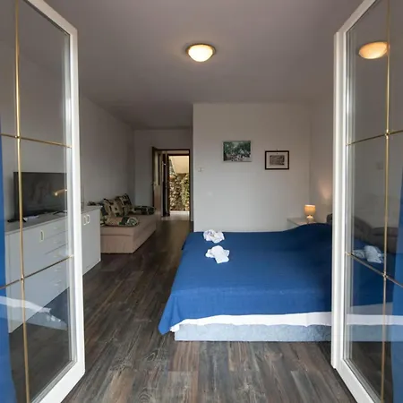 With Balcony A1 * イカ